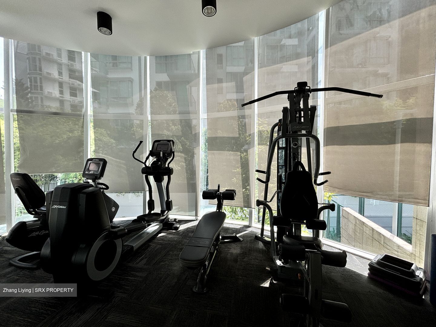 Parc Emily (D9), Condominium #587154171